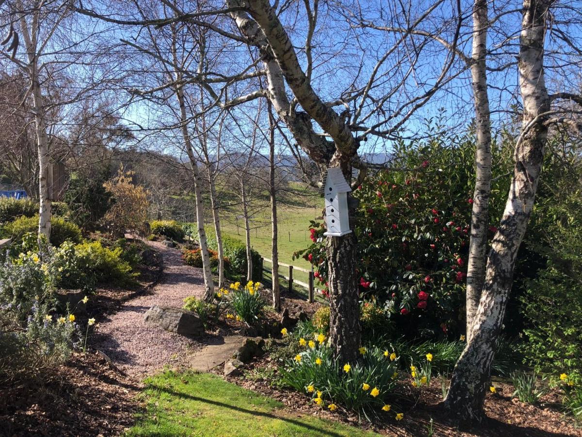 Mole Creek Hideaway Hotel Exterior photo