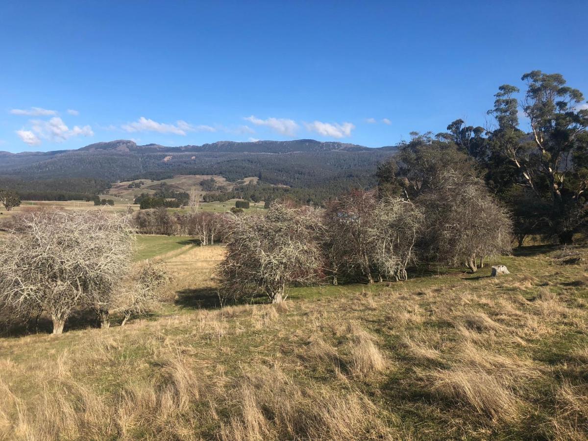 Mole Creek Hideaway Hotel Exterior photo